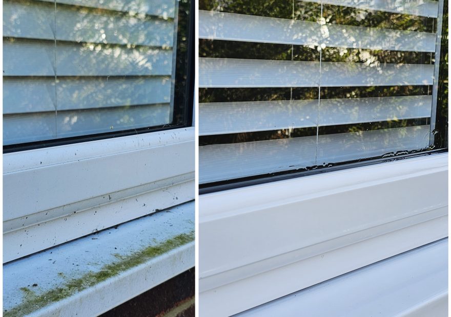 Before and after window cleaning results