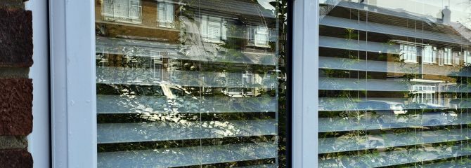 Oh Shine Ltd transforms windows with expert cleaning